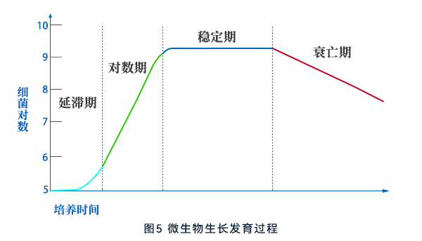 微生物生長(zhǎng)發(fā)育過(guò)程 微生物生長(zhǎng)發(fā)育過(guò)程