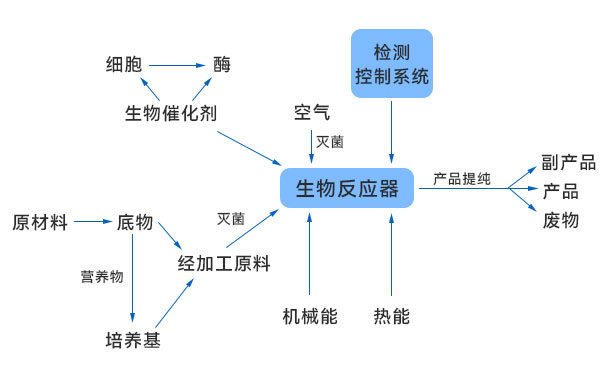 一般生物技術(shù)生產(chǎn)過程示意圖 一般生物技術(shù)生產(chǎn)過程示意圖