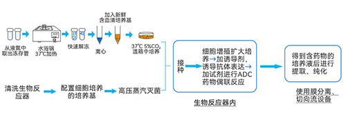 綜合反應(yīng)流程 綜合反應(yīng)流程