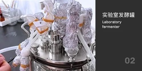 實驗室發(fā)酵罐滅菌 實驗室發(fā)酵罐滅菌